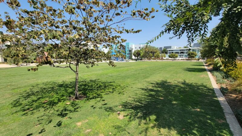 Centrum Dog Park - San Diego, CA