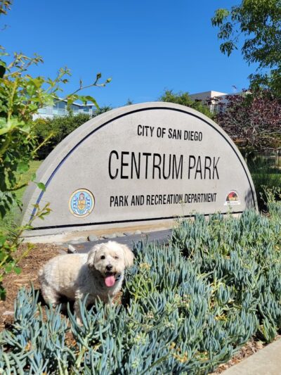 Centrum Dog Park - San Diego, CA