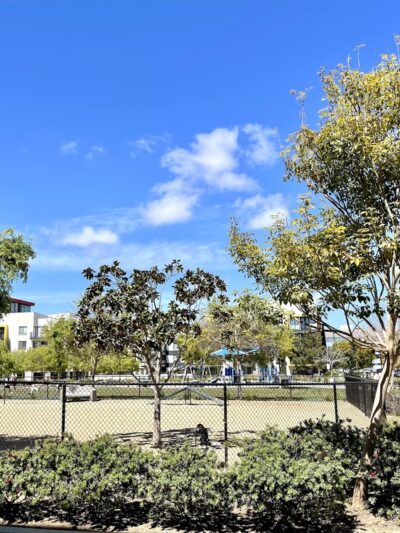 Centrum Dog Park - San Diego, CA