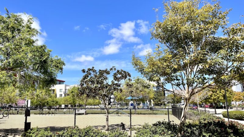 Centrum Dog Park - San Diego, CA