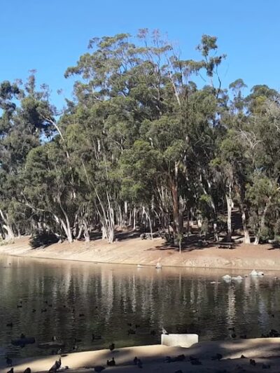 Chollas Lake Park - San Diego, CA