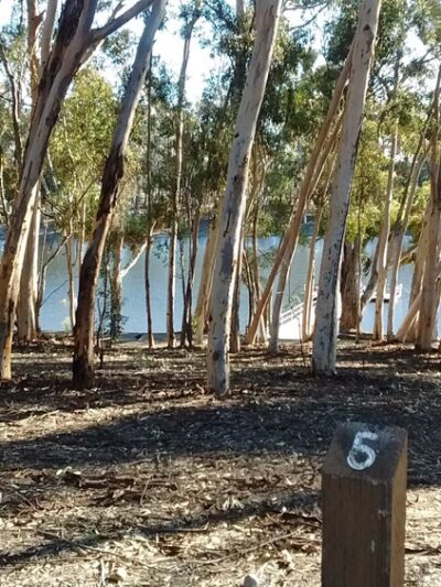 Chollas Lake Park - San Diego, CA