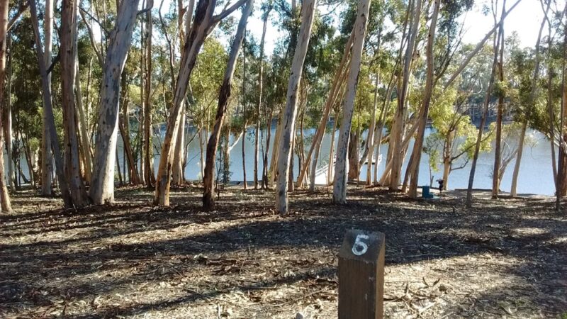 Chollas Lake Park - San Diego, CA