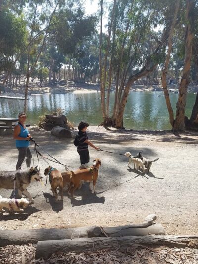 Chollas Lake Park - San Diego, CA