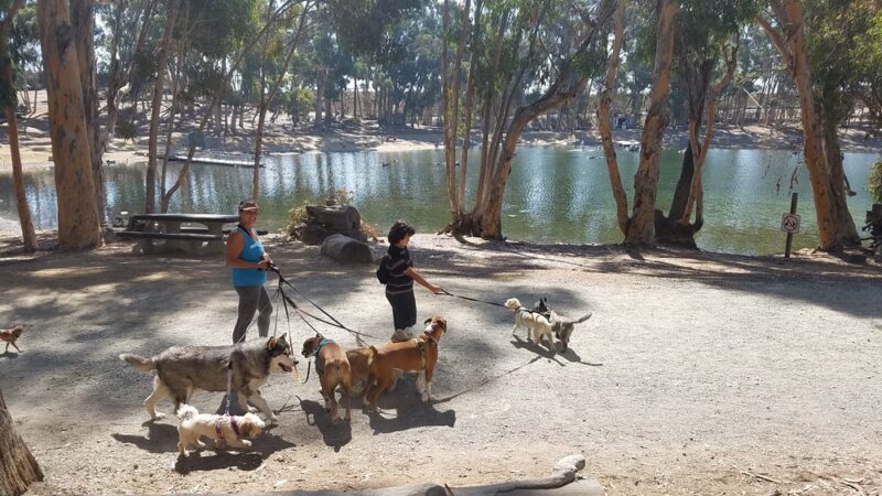Chollas Lake Park - San Diego, CA