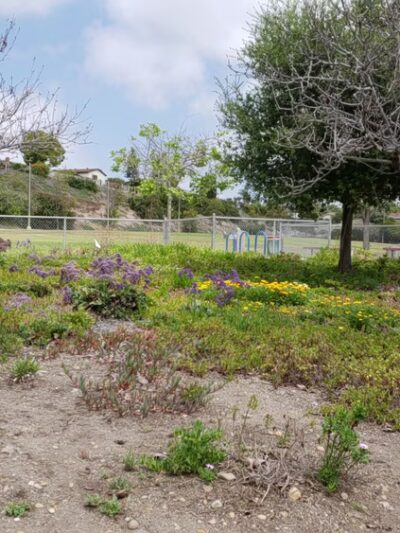 Dailard Park - San Diego, CA