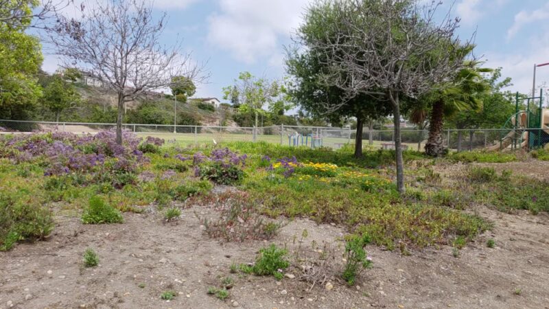 Dailard Park - San Diego, CA