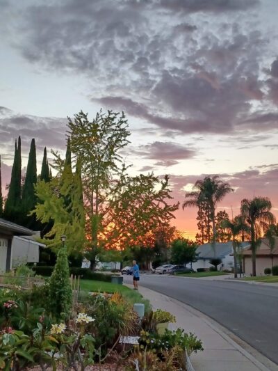 Dailard Park - San Diego, CA