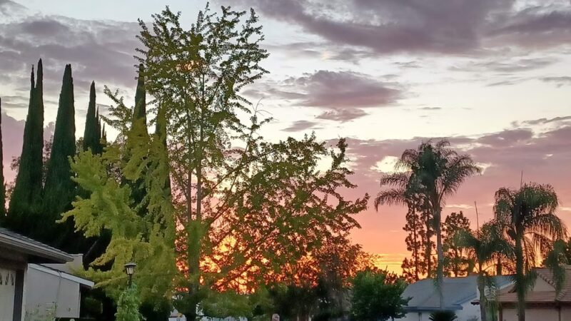 Dailard Park - San Diego, CA