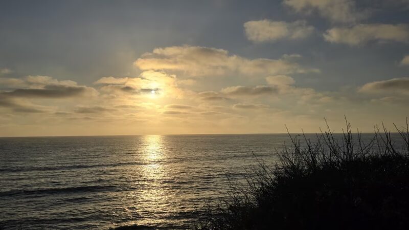 Del Mar Park - San Diego, CA