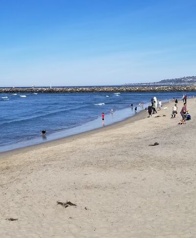 Dog Beach - San Diego, CA
