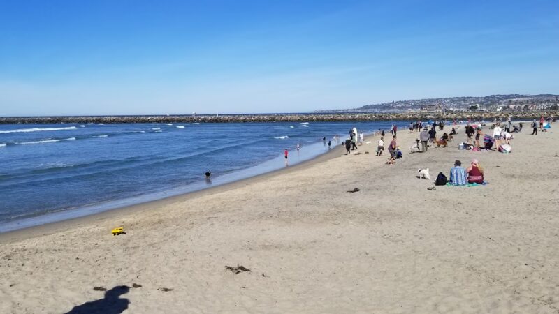 Dog Beach - San Diego, CA