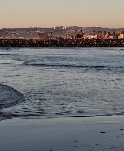 Dog Beach - San Diego, CA