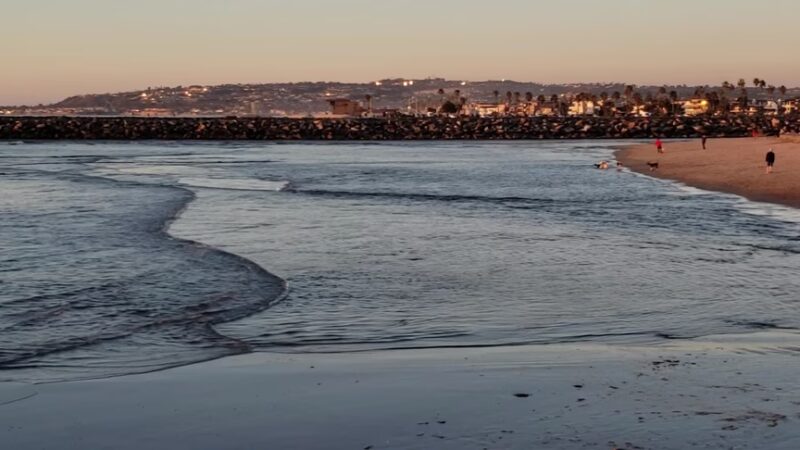 Dog Beach - San Diego, CA