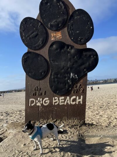 Dog Beach - San Diego, CA