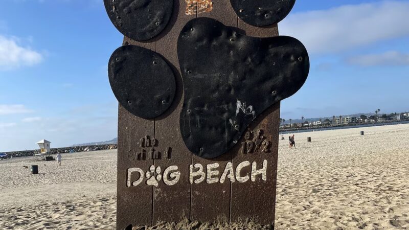 Dog Beach - San Diego, CA