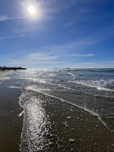 Dog Beach - San Diego, CA