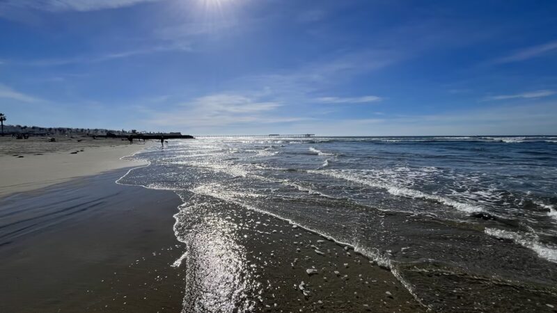 Dog Beach - San Diego, CA