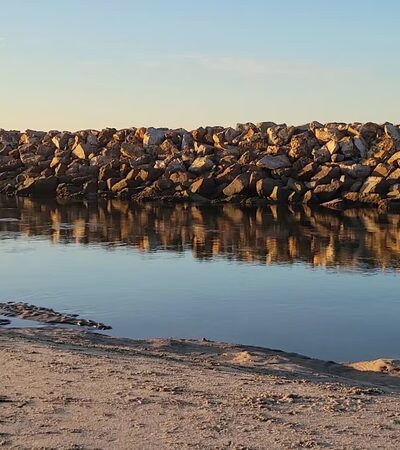 Dog Beach Ocean Beach - San Diego, CA
