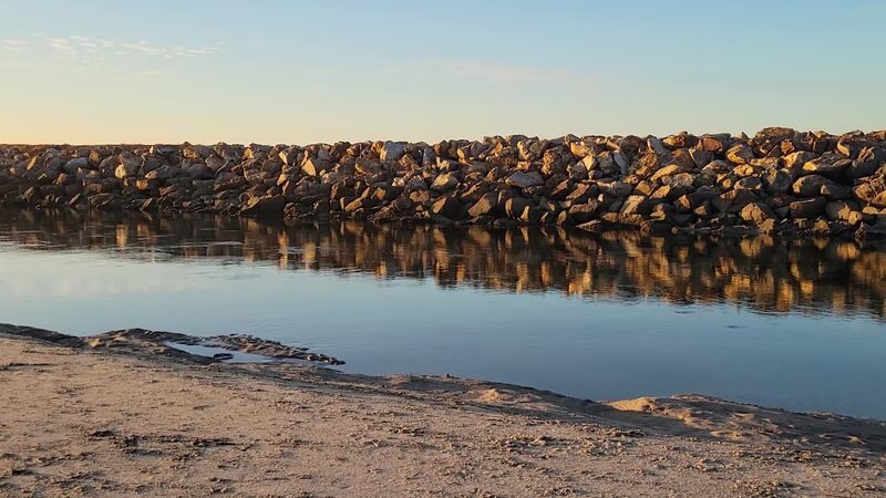 Dog Beach Ocean Beach - San Diego, CA