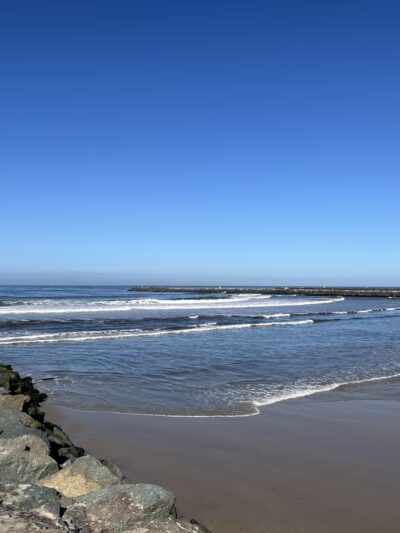Dog Beach Ocean Beach - San Diego, CA