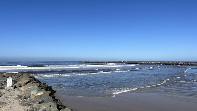 Dog Beach Ocean Beach - San Diego, CA