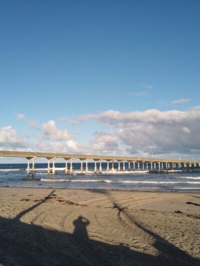 Dog Beach Ocean Beach - San Diego, CA