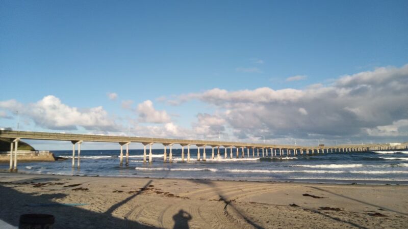 Dog Beach Ocean Beach - San Diego, CA
