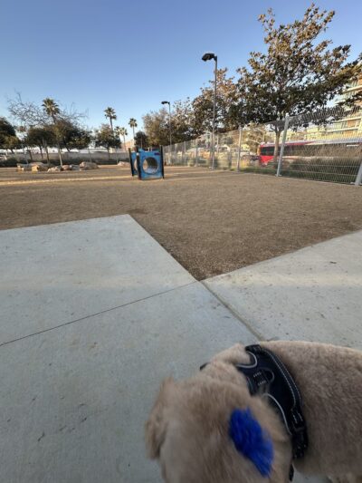 Dog park - San Diego, CA