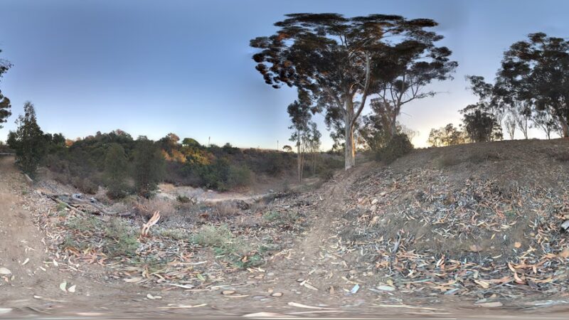 Dog Park Bypass - San Diego, CA