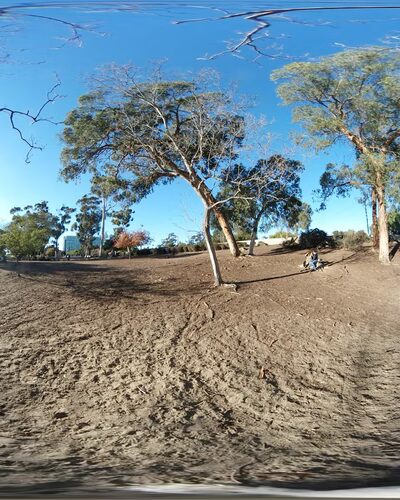Dog Park Bypass - San Diego, CA