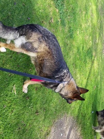 Dorothy Petway Neighborhood Park - San Diego, CA