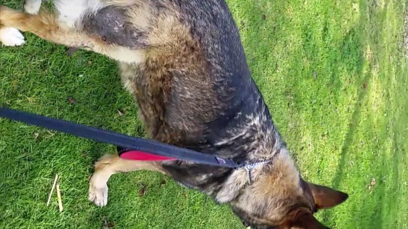 Dorothy Petway Neighborhood Park - San Diego, CA