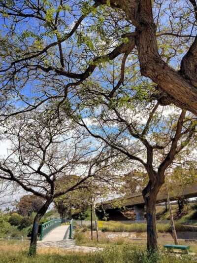 Dorothy Petway Neighborhood Park - San Diego, CA