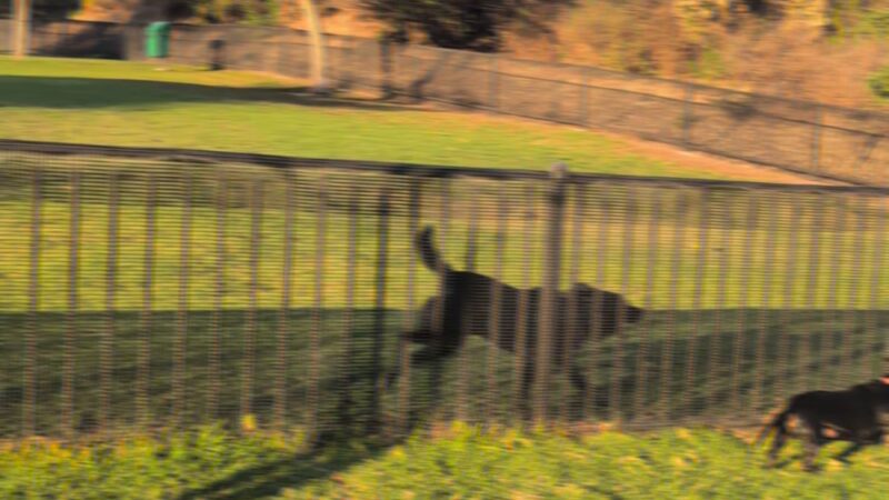 Escala Dog Park (Private) - San Diego, CA