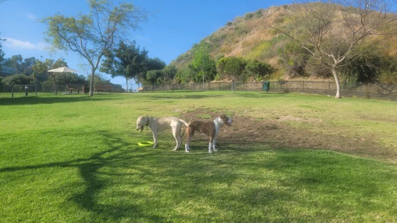 Escala Dog Park (Private) - San Diego, CA