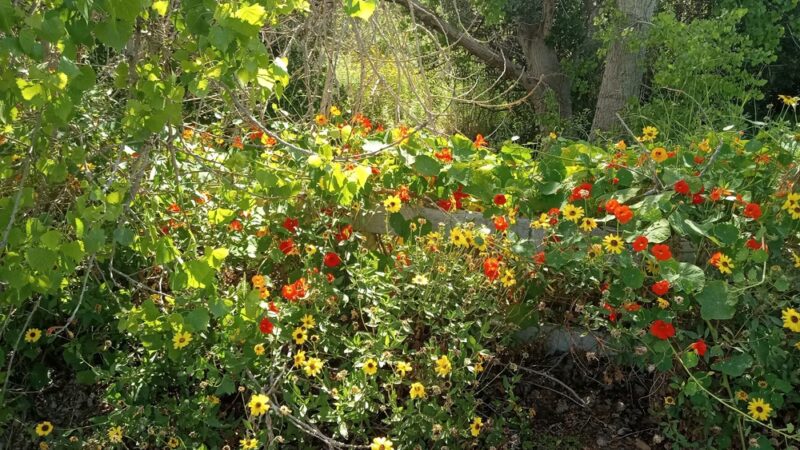 FFS' South Property - San Diego, CA