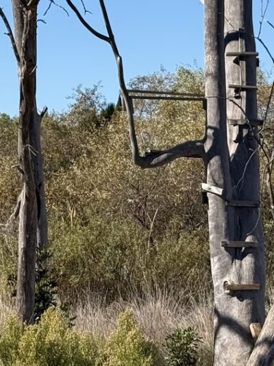 Four Gee County Park - San Diego, CA