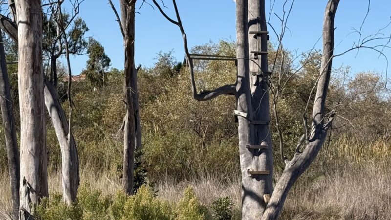 Four Gee County Park - San Diego, CA