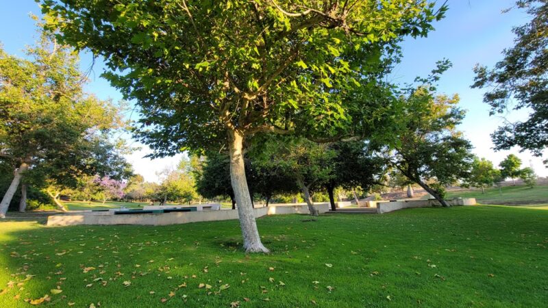 Freedom Park - San Diego, CA