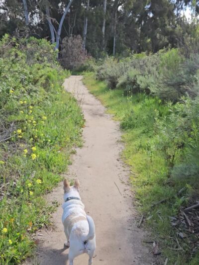 Gardena Loop Trailhead - San Diego, CA