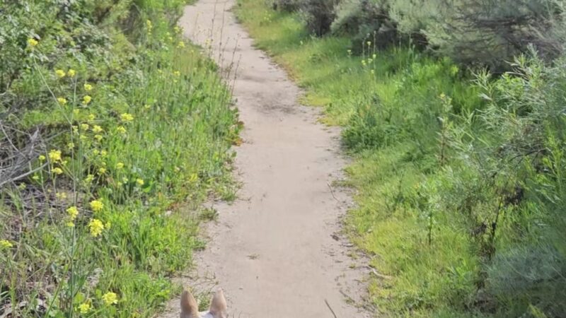 Gardena Loop Trailhead - San Diego, CA