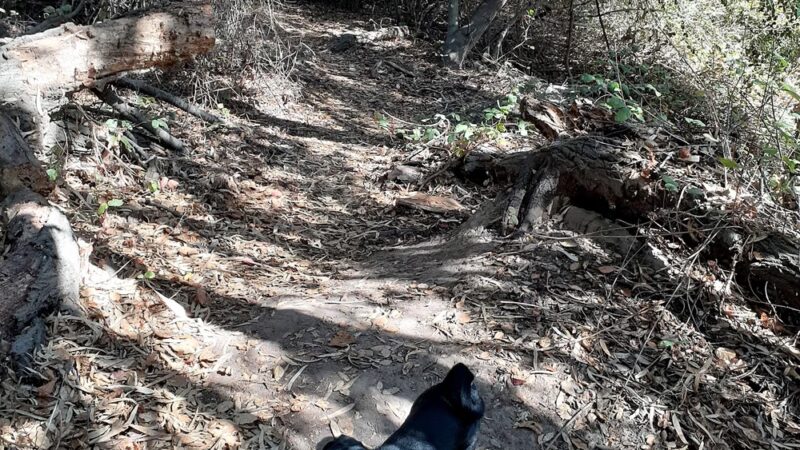 Gardena Loop Trailhead - San Diego, CA