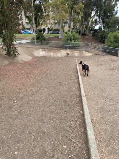 Gopher City Dog Park - San Diego, CA
