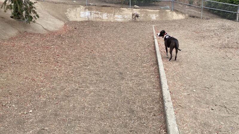 Gopher City Dog Park - San Diego, CA