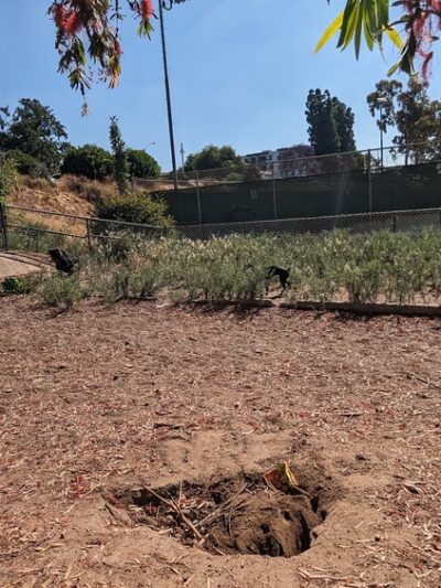 Gopher City Dog Park - San Diego, CA