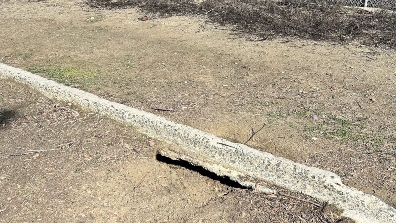 Gopher City Dog Park - San Diego, CA