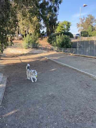 Gopher City Dog Park - San Diego, CA