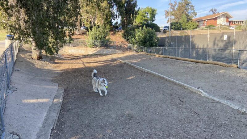 Gopher City Dog Park - San Diego, CA
