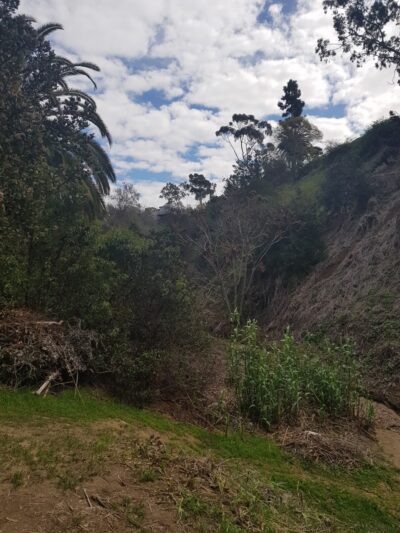 Heritage Park Canyon - San Diego, CA